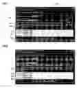 Fig. 06 - Automated dynamic routing of documents based on database storage of user relationships