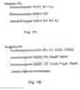 Fig. 02 - Method and system for fortifying software