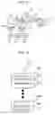 Fig. 12 - Computer system and method for managing file versions