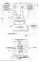 Fig. 02 - Multi-modal communication using a session specific proxy server