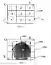 Fig. 09 - Finger ID based actions in interactive user interface