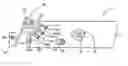 Fig. 01 - Rifle with trigger pull weight adjustment