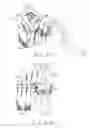 Fig. 02 - Gun shell catcher device