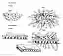Fig. 02 - Trash-can and dumpsters pest eliminator