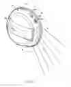 Fig. 09 - Blade clamp assembly