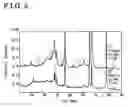 Fig. 04 - Piston