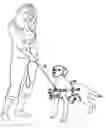 Fig. 01 - Dog harness