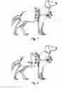 Fig. 06 - Dog harness