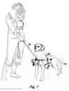 Fig. 07 - Dog harness