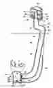Fig. 01 - Low physiological deadspace snorkel