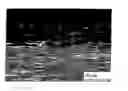 Fig. 01 - Surface modified stainless steel