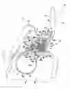 Fig. 01 - Brake system of working machine