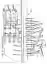 Fig. 09 - Apparatus and method for controlling and distributing gas flow