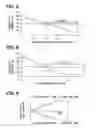 Fig. 05 - Fuel injection nozzle and method for manufacturing the same