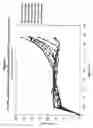 Fig. 09 - Composite foam structure having an isotropic strength region and anisotropic strength region