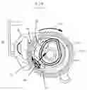 Fig. 09 - Motor vehicle latch