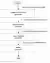 Fig. 01 - Method for splitting a print image data plane for printing with multiple printheads