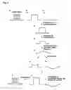 Fig. 08 - Picture quality improvement device and picture quality improvement method