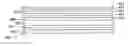 Fig. 01 - Polarizer, panel for a liquid crystal display, and liquid crystal display, including a scattering layer