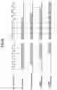 Fig. 07 - Image forming apparatus, image forming process and image forming program