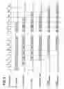 Fig. 09 - Image forming apparatus, image forming process and image forming program