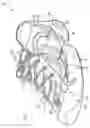 Fig. 02 - Article of footwear with remote sound activating unit