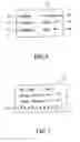 Fig. 06 - Remote lighting control device for lamp string