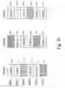 Fig. 32 - Wireless network having real-time channel allocation