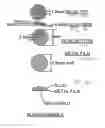 Fig. 07 - Apparatus and method for boosting sound in a denta-mandibular sound-transmitting entertainment toothbrush