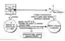 Fig. 01 - Digital watermark detection apparatus and digital watermark detection method