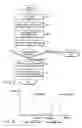 Fig. 06 - Digital watermark detection apparatus and digital watermark detection method