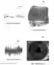 Fig. 02 - Fingerprint biometric machine representations based on triangles