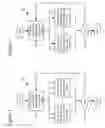 Fig. 06 - Adaptive entropy encoding/decoding for screen capture content