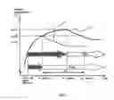 Fig. 03 - Image forming device and controlling method thereof