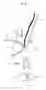 Fig. 02 - Image forming apparatus