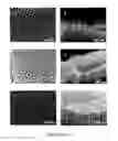 Fig. 02 - Vertical aligned nano-scale diamond structure and process for fabricating the same