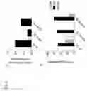 Fig. 07 - Enhancement of B cell proliferation by IL-15