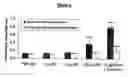 Fig. 07 - Methods and compositions for immunizing against Pseudomonas infection