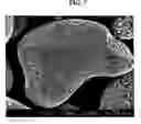Fig. 08 - Lithium transition metal oxide with gradient of metal composition