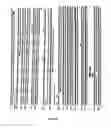 Fig. 06 - Electrical conductors and devices from prion-like proteins