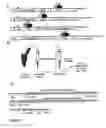 Fig. 02 - Trap-tagging: a novel method for the identification and purification of rna-protein complexes