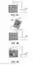 Fig. 04 - Specific base sequence detection method and primer extension reaction detection method