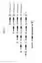 Fig. 02 - Bioretrosynthetic methods for preparing products and compositions related thereto