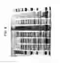 Fig. 07 - Bioretrosynthetic methods for preparing products and compositions related thereto