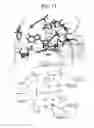 Fig. 12 - Bioretrosynthetic methods for preparing products and compositions related thereto
