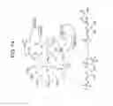 Fig. 15 - Bioretrosynthetic methods for preparing products and compositions related thereto