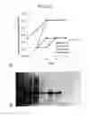Fig. 23 - Bioretrosynthetic methods for preparing products and compositions related thereto