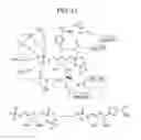 Fig. 28 - Bioretrosynthetic methods for preparing products and compositions related thereto