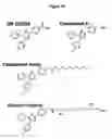 Fig. 02 - Medium and method for enriching, purifying or depleting atp binding proteins from a pool of proteins