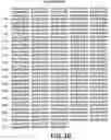 Fig. 85 - Polynucleotide encoding a genetically engineered P30 antigen